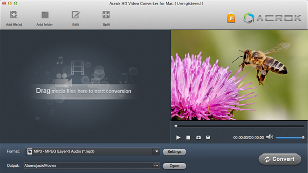 avchd video converter free download