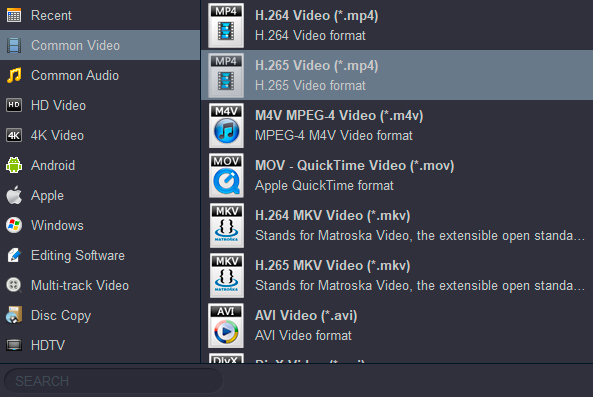 Convert BRMV to H.265 MP4