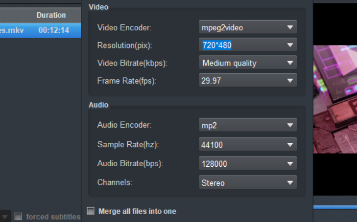 Blu-ray to DVD Player Converter - Settings