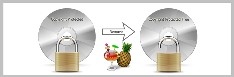 Remove Copy Protection with HandBrake