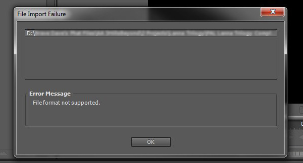 premiere pro braw support